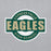 Close-up view of Cypress Falls High School Eagles Heather Grey Classic Unisex Hoodie 011