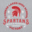 Close-up view of Cypress Lakes High School Spartans Heather Grey Classic Unisex Hoodie 206