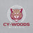 Close-up view of Cypress Woods High School Wildcats Heather Grey Classic Unisex Hoodie 226