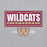 Close-up view of Cypress Woods High School Wildcats Heather Grey Classic Unisex Hoodie 049