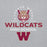 Close-up view of Cypress Woods High School Wildcats Heather Grey Classic Unisex Hoodie 222