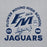Close-up view of Flower Mound High School Jaguars Sport Grey Classic Unisex Hoodie 208