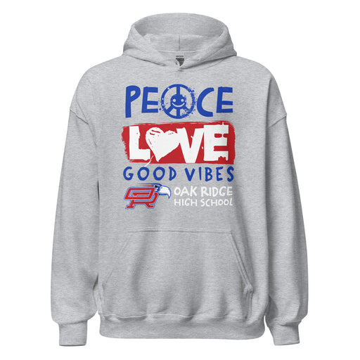 Oak Ridge High School War Eagles Grey Classic Unisex Hoodie 240