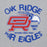 Close-up view of Oak Ridge High School War Eagles Grey Classic Unisex Hoodie 228
