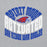 Close-up view of Oak Ridge High School War Eagles Grey Classic Unisex Hoodie 242
