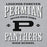 Close-up view of Permian High School Panthers Grey Classic Unisex Hoodies 230