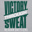 Close-up view of Reagan High School Rattlers Grey Classic Unisex Hoodie 241
