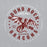 Close-up view of Round Rock High School Dragons Grey Classic Unisex Hoodie 214
