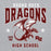 Close-up view of Round Rock High School Dragons Grey Classic Unisex Hoodie 213