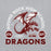 Close-up view of Round Rock High School Dragons Grey Classic Unisex Hoodie 208