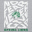 Back view of Spring High School Lions Grey Classic Unisex Hoodie 236