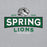 Close-up view of Spring High School Lions Grey Classic Unisex Hoodie 202