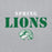 Close-up view of Spring High School Lions Grey Classic Unisex Hoodie 017