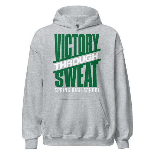 Spring High School Lions Grey Classic Unisex Hoodie 241