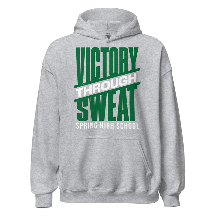 Spring High School Lions Grey Classic Unisex Hoodie 241