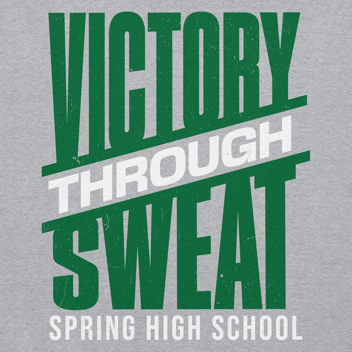 Close-up view of Spring High School Lions Grey Classic Unisex Hoodie 241