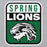 Close-up view of Spring High School Lions Grey Classic Unisex Hoodie 001