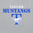 Close-up view of Taylor High School Mustangs Grey Classic Unisex Hoodie 017
