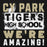 Close-up view of Cypress Park High School Tigers Black Premium Unisex Hoodie 231