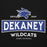 Close-up view of Dekaney High School Wildcats Black Premium Unisex Hoodie 202