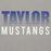 Close-up view of Taylor High School Mustangs Grey Premium Unisex Hoodie 024