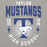 Close-up view of Taylor High School Mustangs Grey Premium Unisex Hoodie 204