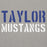 Close-up view of Taylor High School Mustangs Grey Premium Unisex Hoodie 017