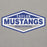 Close-up view of Taylor High School Mustangs Grey Premium Unisex Hoodie 009