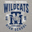 Close-up view of Tomball Memorial High School Wildcats Grey Premium Unisex Hoodie 213