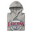 Neatly folded view of Tompkins High School Falcons Grey Premium Unisex Hoodie 211