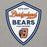 Close-up view of Bridgeland High School Bears Premium Grey Hoodie 225