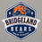 Close-up view of Bridgeland High School Bears Premium Grey Hoodie 209