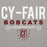 Close-up view of Cy-Fair High School Bobcats Carbon Grey Premium Unisex Hoodie 003