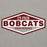 Close-up view of Cy-Fair High School Bobcats Carbon Grey Premium Unisex Hoodie 009