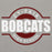 Close-up view of Cy-Fair High School Bobcats Carbon Grey Premium Unisex Hoodie 011