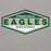 Close-up view of Cypress Falls High School Eagles Heather Grey Premium Unisex Hoodie 009