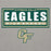 Close-up view of Cypress Falls High School Eagles Heather Grey Premium Unisex Hoodie 049