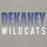 Close-up view of Dekaney High School Wildcats Heather Grey Premium Unisex Hoodie 024