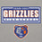 Close-up view of Grand Oaks High School Grizzlies Carbon Grey Premium Unisex Hoodie 049