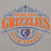 Close-up view of Grand Oaks High School Grizzlies Carbon Grey Premium Unisex Hoodie 211