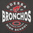 Close-up view of Odessa High School Bronchos Dark Grey Premium Unisex Hoodie 218