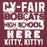 Close-up view of Cy-Fair High School Bobcats Maroon Premium Unisex Hoodie 231