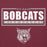 Close-up view of Cy-Fair High School Bobcats Maroon Premium Unisex Hoodie 049