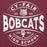 Close-up view of Cy-Fair High School Bobcats Maroon Premium Unisex Hoodie 218