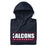 Neatly folded view of Tompkins High School Falcons Navy Premium Unisex Hoodie 049