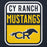 Close-up view of Cypress Ranch High School Mustangs Navy Premium Unisex Hoodie 001