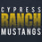 Close-up view of Cypress Ranch High School Mustangs Navy Premium Unisex Hoodie 024