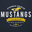Close-up view of Cypress Ranch High School Mustangs Navy Premium Unisex Hoodie 044