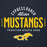 Close-up view of Cypress Ranch High School Mustangs Navy Premium Unisex Hoodie 040