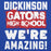 Close-up view of Dickinson High School Gators Royal Blue Premium Unisex Hoodie 231